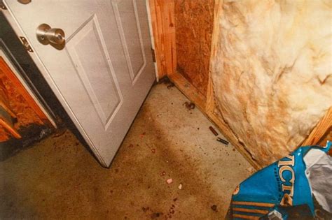 maggie murdaugh crime scene photos|Murdaugh Murders: Crime Scene Photos Shown in Court